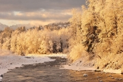 Rzeka zimą w Bukowinie
