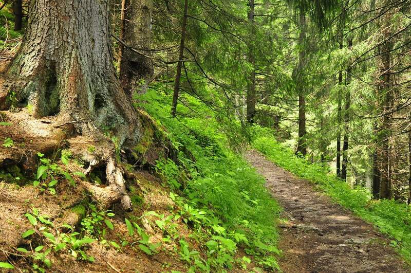 Morskie Oko i szlaki z Bukowiny Tatrzańskiej — Bukowina Tatrzańska